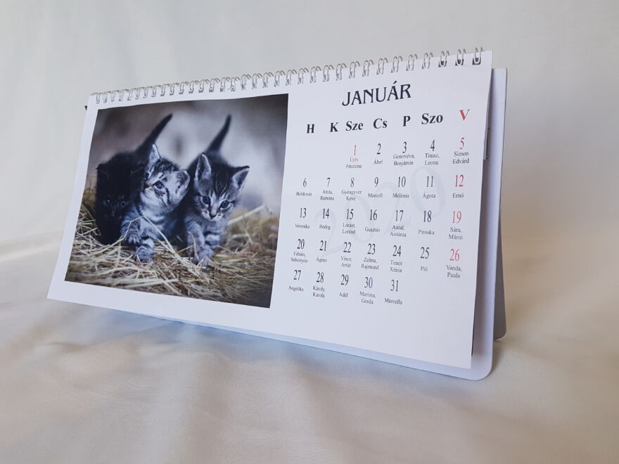 Macskás asztali naptár